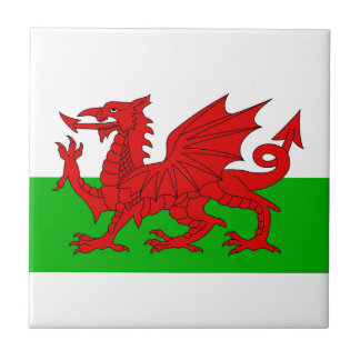 Bandeira Welsh / Wales - Imagem de Alta Qualidade 