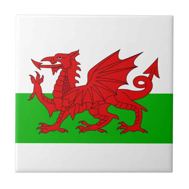 Bandeira Welsh / Wales - Imagem de Alta Qualidade  (Frente)