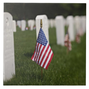 Bandeiras americanas nos túmulos de veteranos amer