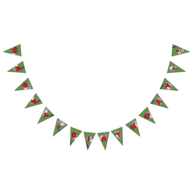 BANDEIRAS da bandeira do aniversário do basebol (Todos)