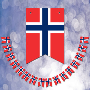 Bandeiras da Noruega e do Partido Norueguês / Cas