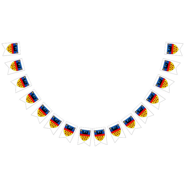 Bandeiras da Transilvânia (Todos)