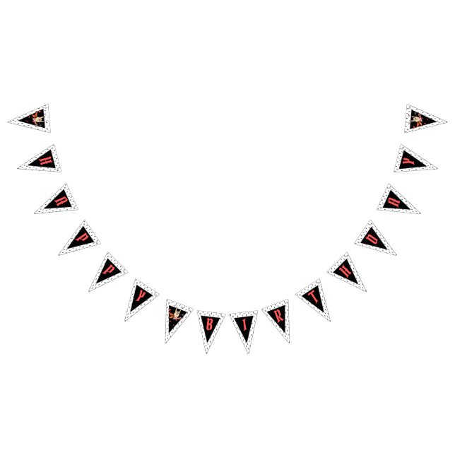 Bandeiras de Bunting de Aniversário de Rockstar Pu (Todos)