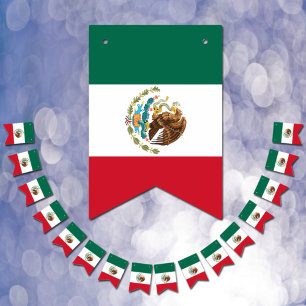 Bandeiras do México, Partido da Bandeira Mexicana 