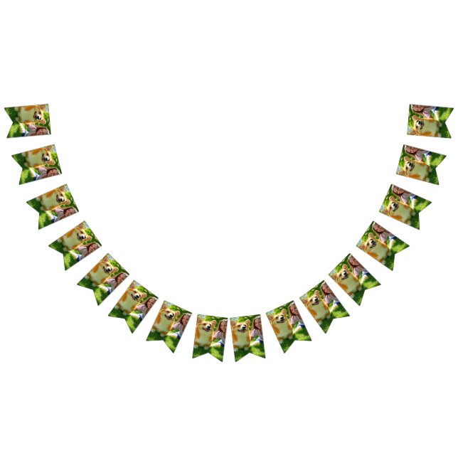 Bandeirinha Adicionar Personalização de Foto Pet Personalizar (Todos)