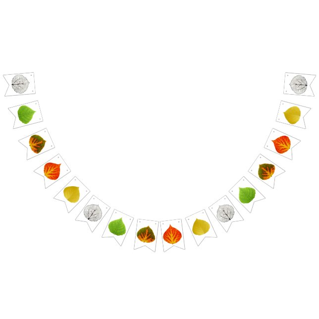 Bandeirinha Aspen Leaves Medley (Todos)