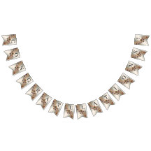 Bandeja de rebarbação das flores de joias Douradas