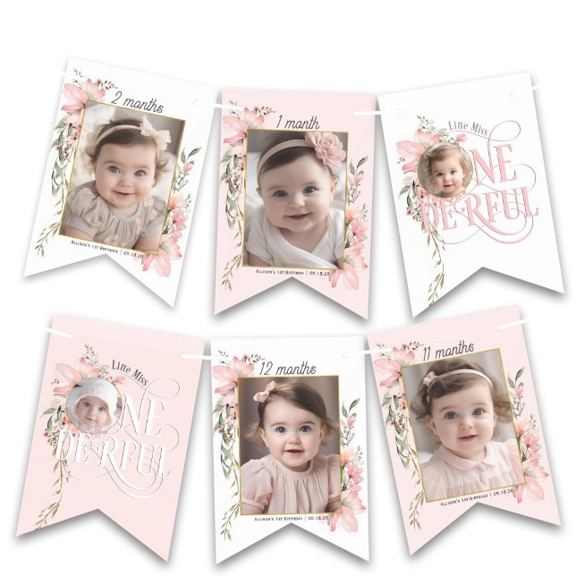 Bandeirinha Banimento mensal de fotos rosa Miss um primeiro an (Pink Little Miss Onederful, Girl 1st birthday Monthly photo banner)