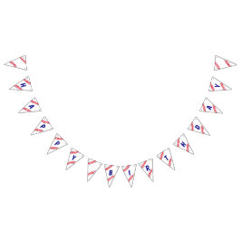 Bandeirinha Banner de aniversário de beisebol