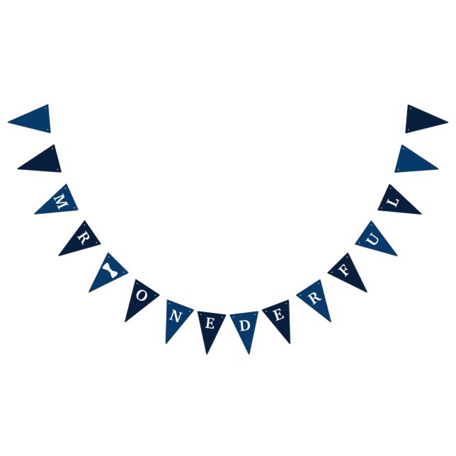 Bandeirinha Banner de Aniversário do Sr. Onederful (Todos)