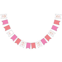 Bandeirinha Banner de aniversário rosa do arco-íris - Nome per