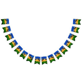 Bandeirinha Banner de bunda de BOLINHAS SUNSHINE