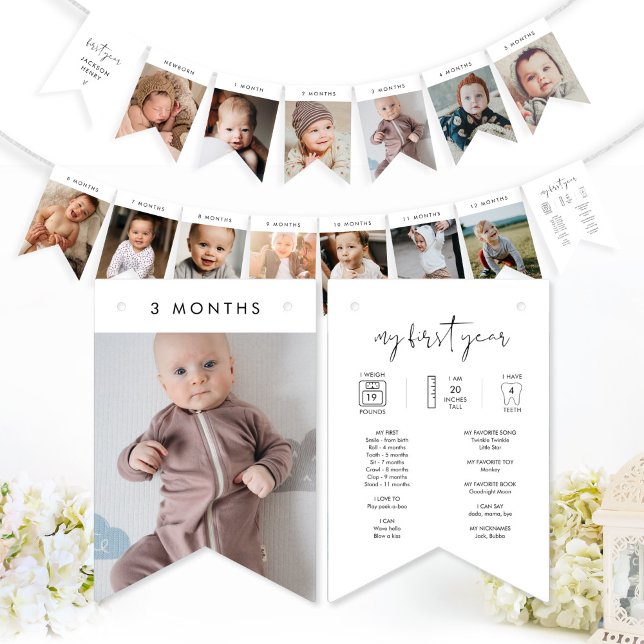 Bandeirinha Banner de Foto Mensal STELLA Baby First Year (Criador carregado)