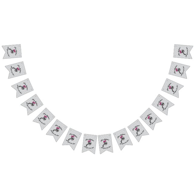 Bandeirinha Banner Miss Shifters (Todos)