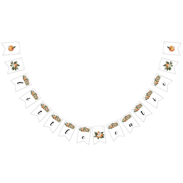 Bandeirinha Banner Pequena Chá de fraldas da Cutie Banner (Todos)