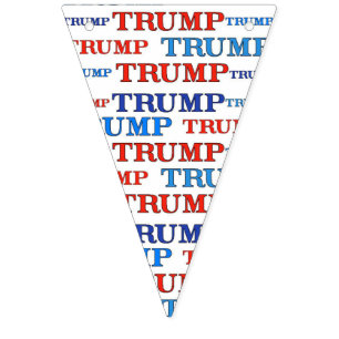 BANDEIRINHA BANNER TRUMP TRUMP PARTY