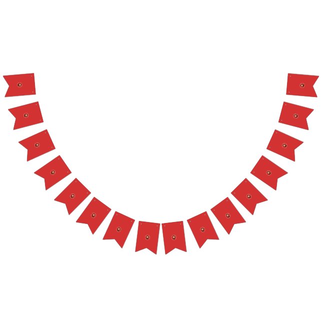 Bandeirinha Banners Personalizados de Aniversário e Casamento (Todos)