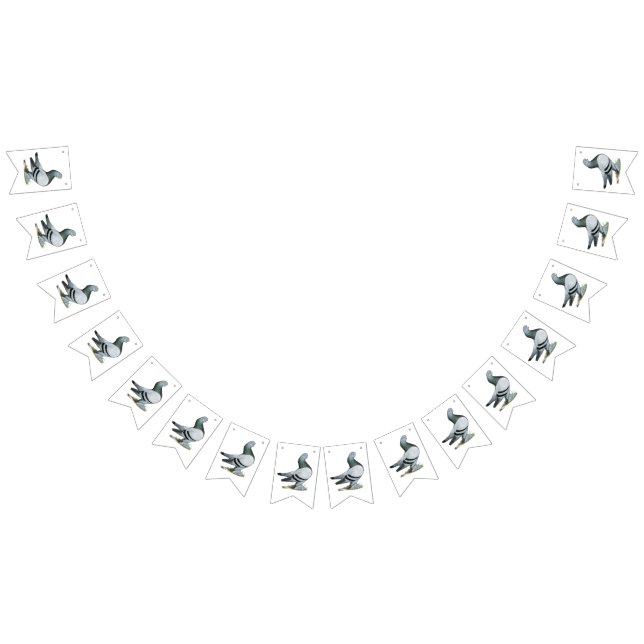 Bandeirinha Bar Azul Berliner Tumbler Pigeon (Todos)