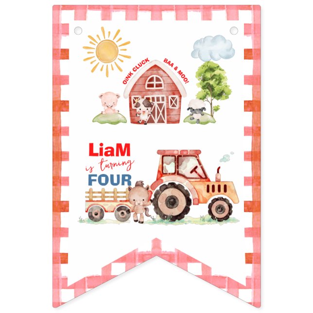 Bandeirinha Barnyard Fun Any Age Birthday (Primeira Bandeira)