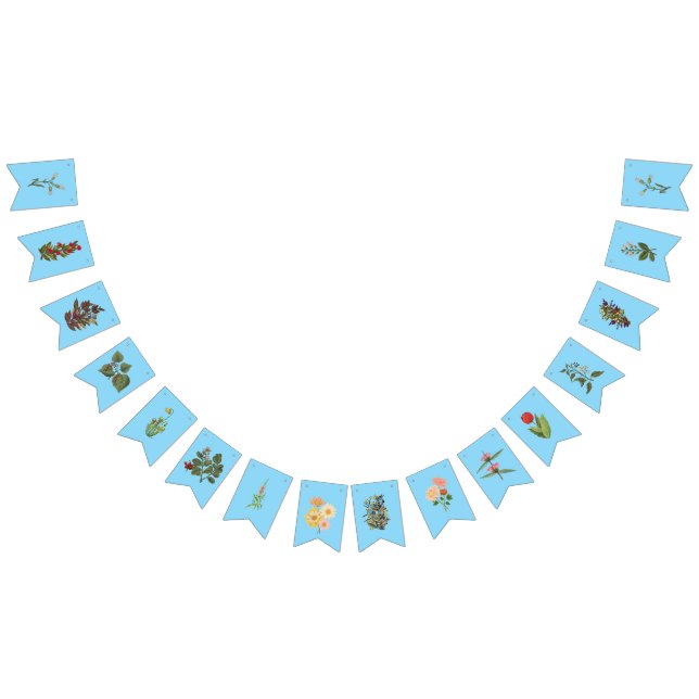 Bandeirinha Belo cartaz floral sobre fundo azul (Todos)