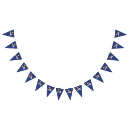 Bandeirinha Biden Harris Party