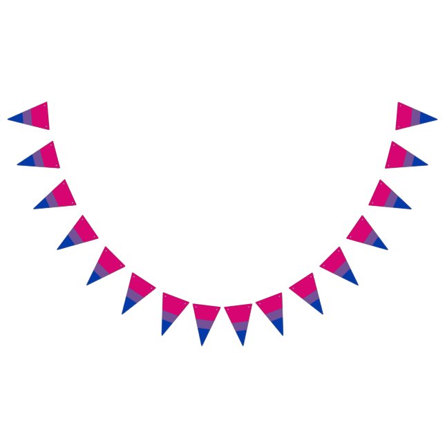 Bandeirinha Bisexuality pride flag banner Bunting Flags (Todos)