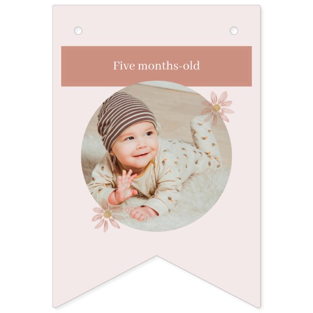 Bandeirinha Boho Pink Daisy Happy Birthday Foto Milestone (Sexta Bandeira)