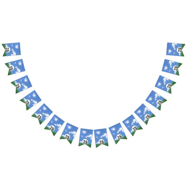 Bandeirinha bola de golfe no capim para 75 anos (Todos)