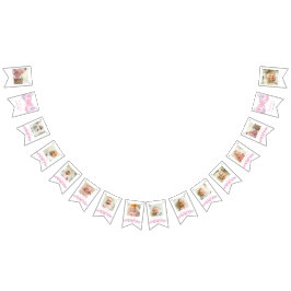 Bandeirinha Borboleta de Foto do primeiro aniversario 12 Meses