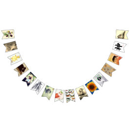 Bandeirinha BUNDAGEM DE páscoas PARA PARTES E DESCORAGEM