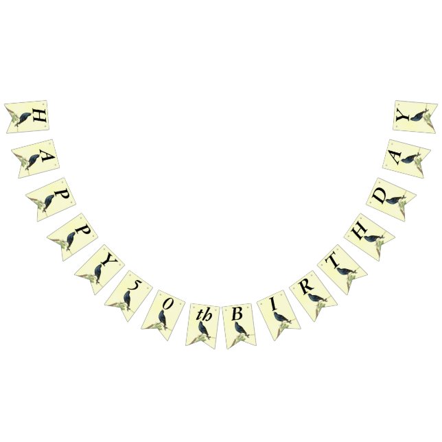 Bandeirinha Cantando Aniversário Lagarto Negro (Todos)