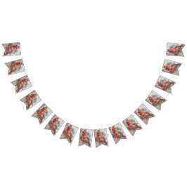 Bandeirinha Cardeal no Roteiro da Virgínia