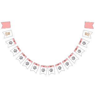 Bandeirinha Cartaz de imagem mensal Primeiro aniversário