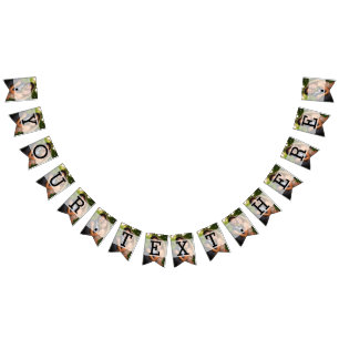 Bandeirinha Casamento de Fotografias de Sheer Overlay Elegante