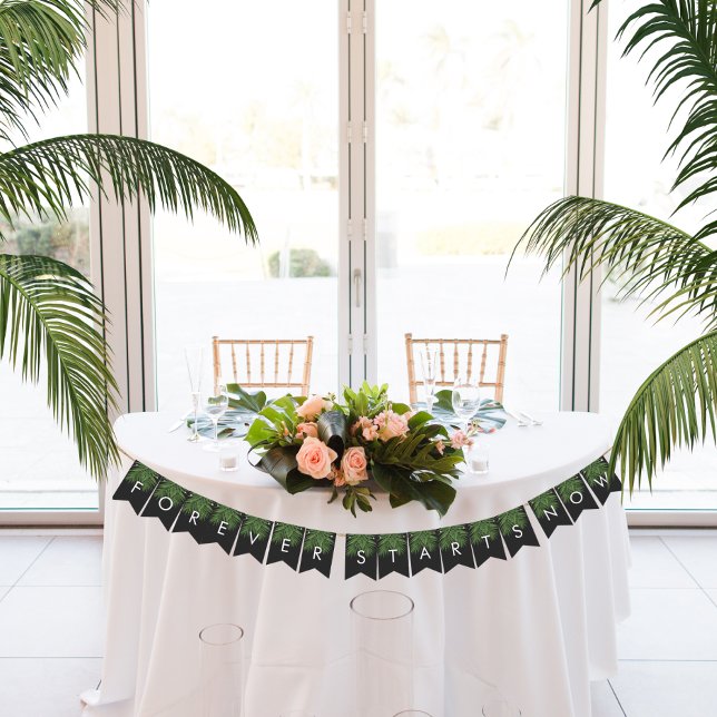 Bandeirinha Céu Noturno de Palma Tropical Começa Agora (Criador carregado)