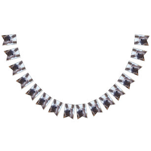 Bandeirinha Cinzas Cômicas Sorrindo Donkey