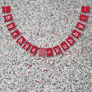 Bandeirinha Comemoração do Divorce Party Ex Hubby Início da Em