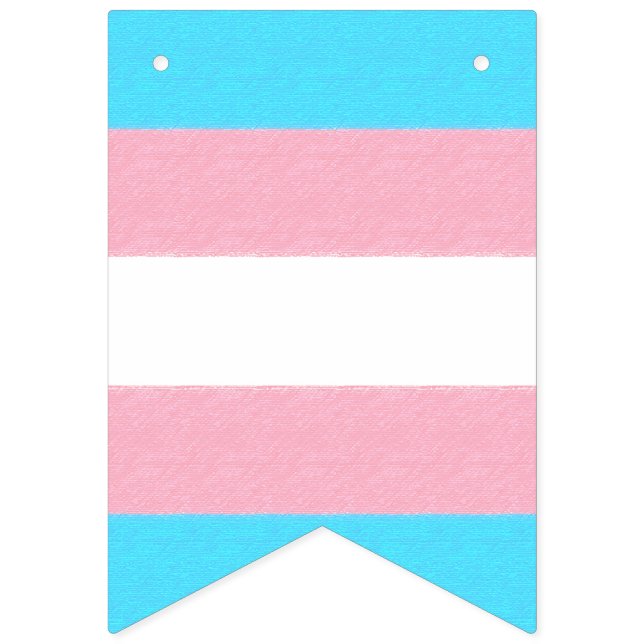 Bandeirinha Costume do orgulho do Transgender (Primeira Bandeira)
