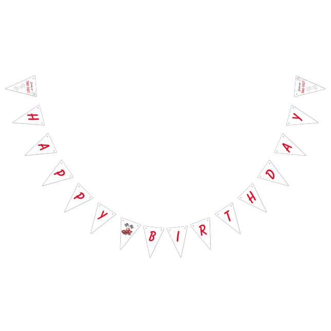 Bandeirinha Crescendo dois segundos aniversários rápidos (Todos)