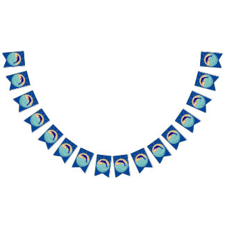 Bandeirinha Dolphin Beach