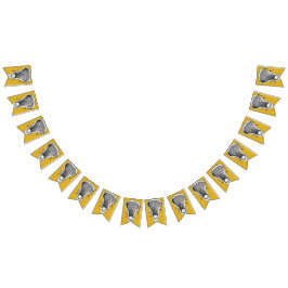 Bandeirinha Dourado Esportes Lacrosse