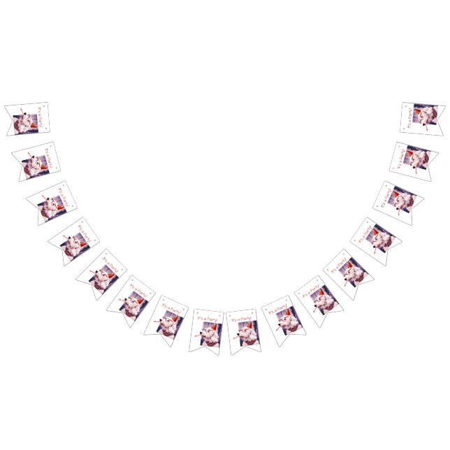 Bandeirinha É um Cachorro Divertido Festa Celebrando (Todos)