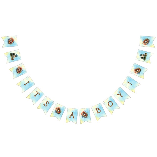 Bandeirinha É um menino | Chá de fraldas de beisebol (Todos)