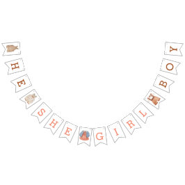 Bandeirinha Ela Menina Menina Sexo Revela banner