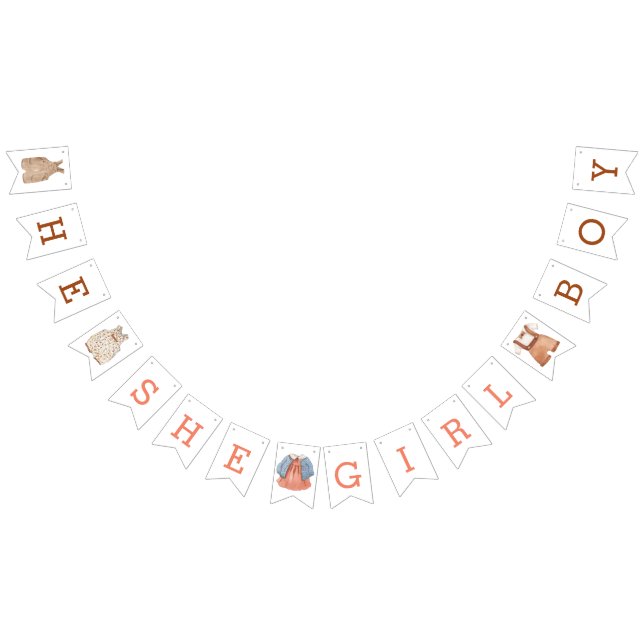 Bandeirinha Ela Menina Menina Sexo Revela banner (Todos)