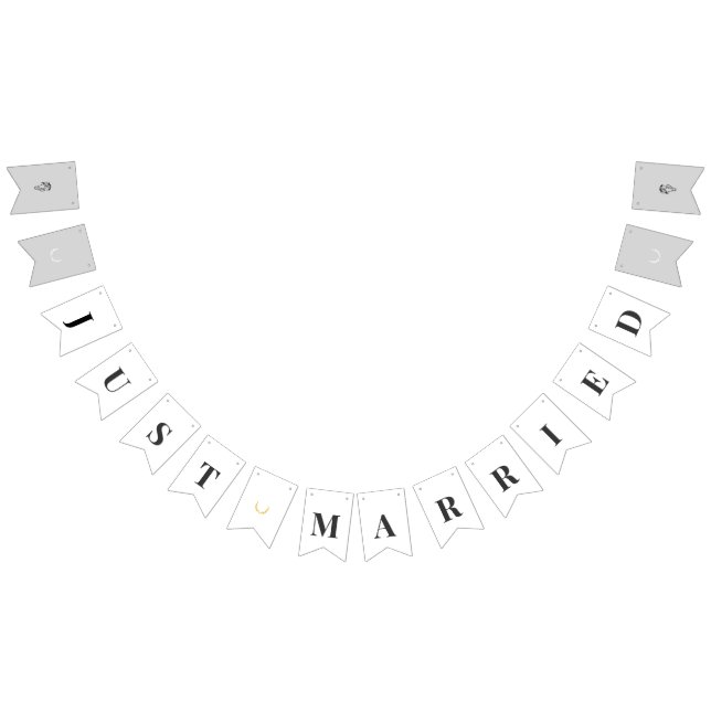 Bandeirinha Elegant Equestrian Just Married Bunting Banner (Todos)