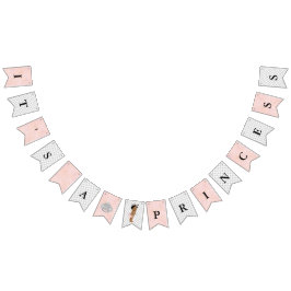 Bandeirinha Encanto étnico da princesa bebé dos diamantes das