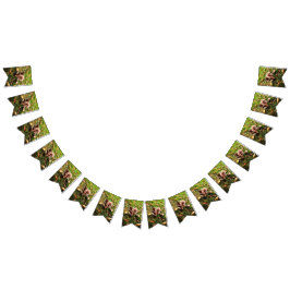 Bandeirinha Esquilo ruidoso