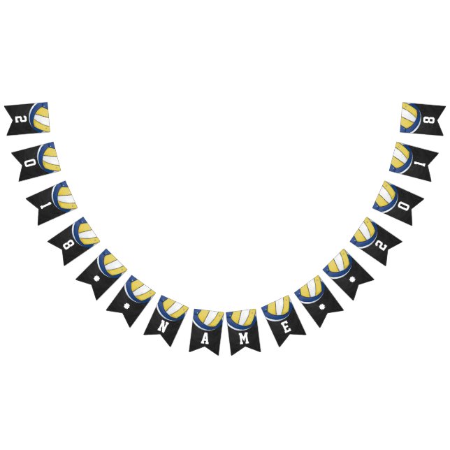 Bandeirinha estamenha temático do partido do voleibol 04of12 (Todos)