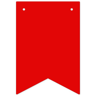 Bandeirinha Estandarte de Bunting de Pennant Gay e Trans Orgue